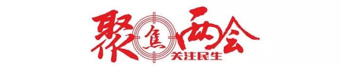 定了！代表票选并实施监督的10个市政府民生项目“出炉”