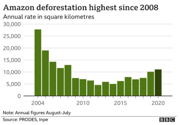 历年亚马孙雨林砍伐情况。图片来源：BBC