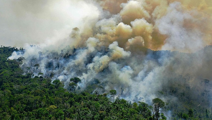 图片来源：视觉中国