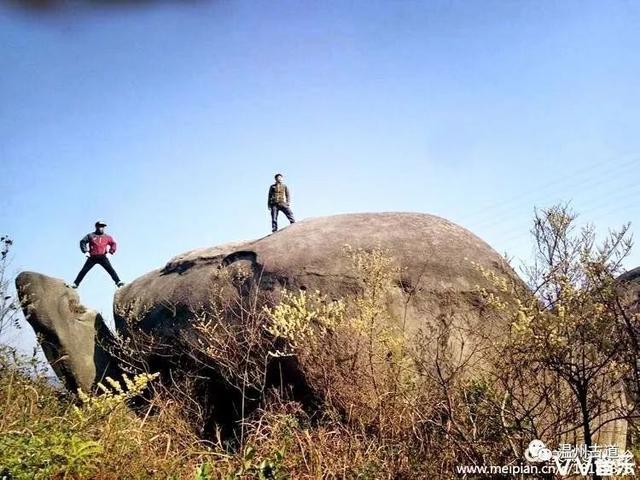 大罗山那么多奇形异石，你都找到过吗？