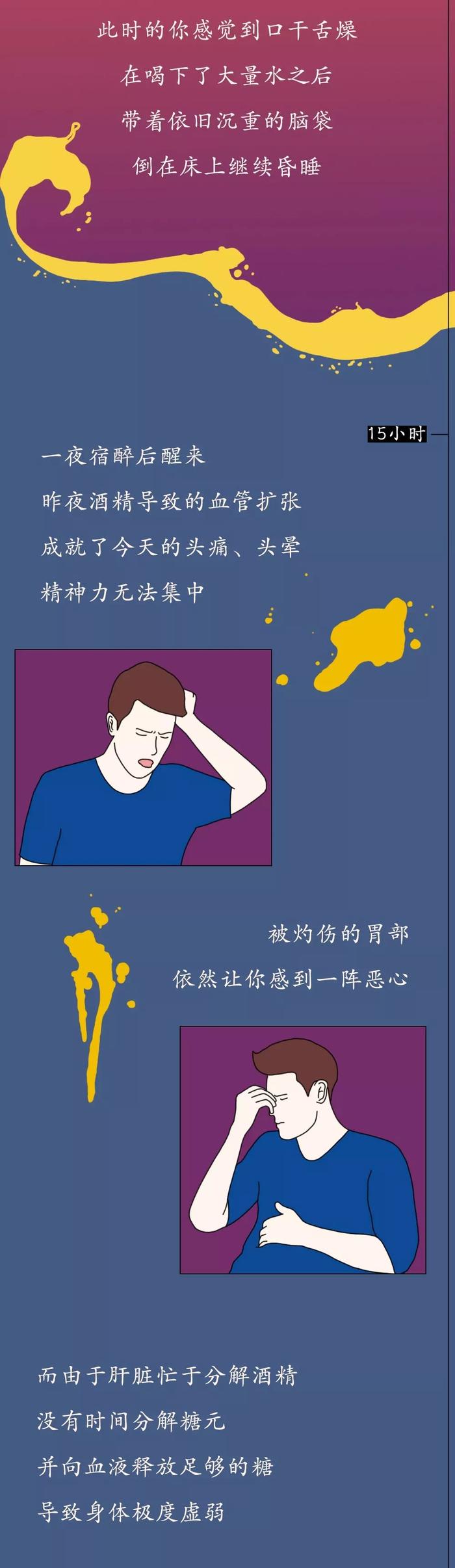 酒精进入你体内的二十四小时，是这样的……