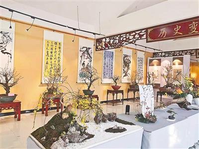 郑州蜡梅梅花盆景展将紫荆山公园动物园同时进行