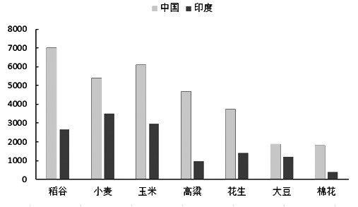 　　图为印度和我国主要农作物单产对比