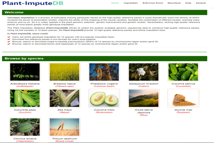 ▲多作物遗传变异数据库