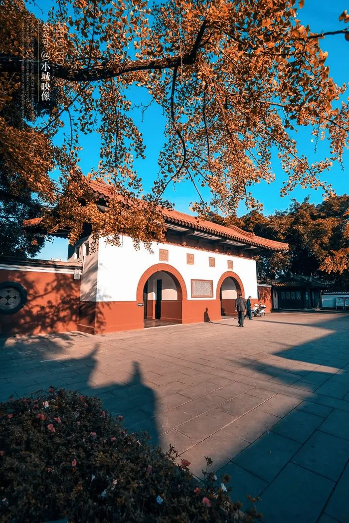 ▲ 郫县供奉着蜀王望帝和丛帝的望丛祠