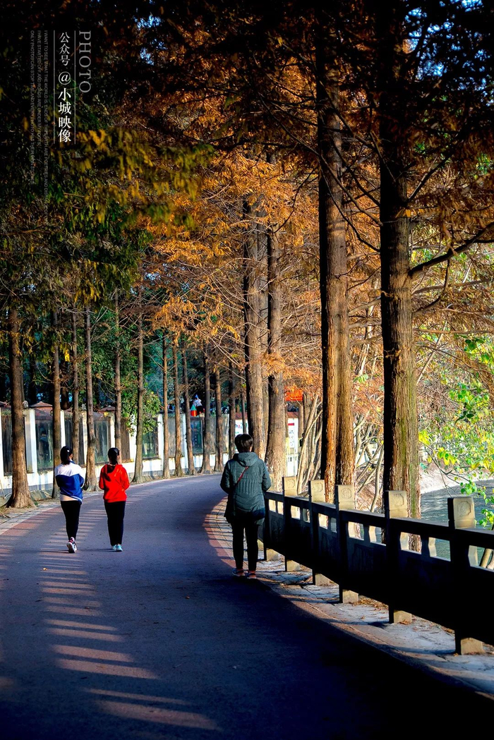 ▲ 郫县安靖镇府河绿道