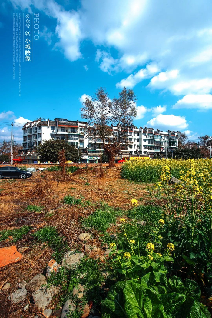 ▲ 春天的唐昌镇