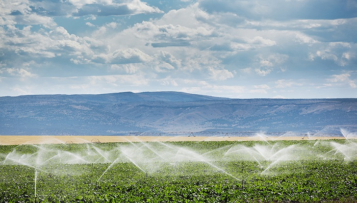 图片来源：视觉中国