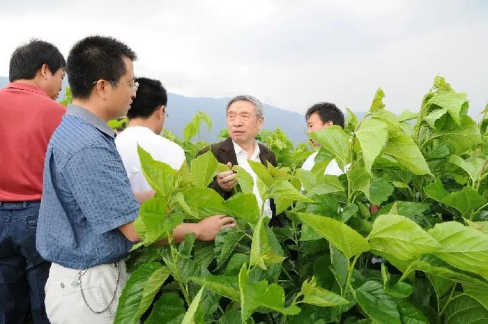 ▲ 向忠怀院士视察蚕桑基地