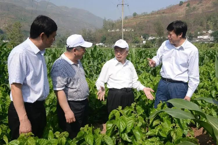 ▲ 向忠怀院士视察蚕桑基地