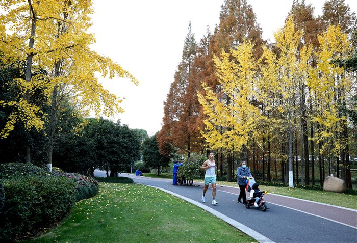  申城各大公园绿地美不胜收