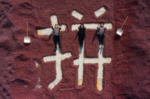 ▲ 三姐弟相约从天南海北回到了南疆阿拉尔，合力把父亲之前的工厂重新修缮，改成了灰枣加工厂。“不管回来有多大代价，他们也要陪着我一起”赵闫说。（摄影：穆功）