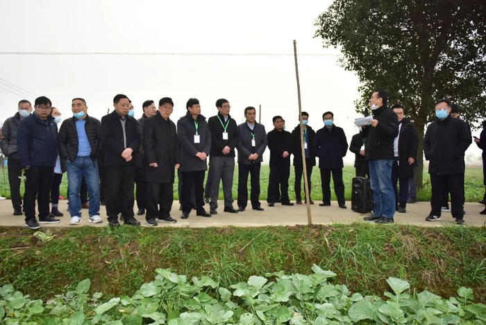 ▲张椿雨教授介绍“华油杂62R”有关示范推广情况