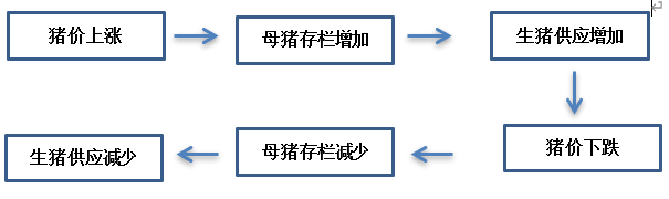 图为“猪周期”