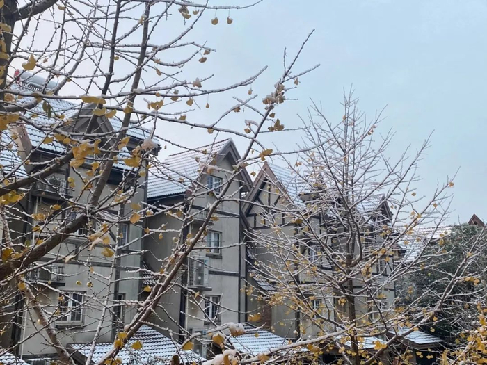 南报融媒体记者 冯兴 摄