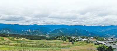 　　老鸦树的露天蔬菜基地。　　和 芸摄 