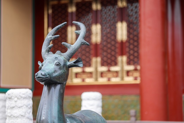 佳能EOS&nbsp;R5相机直出照片