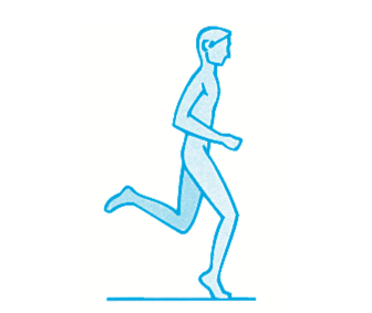 ▲ 脚尖着地会拉紧踝关节的肌肉和跟腱