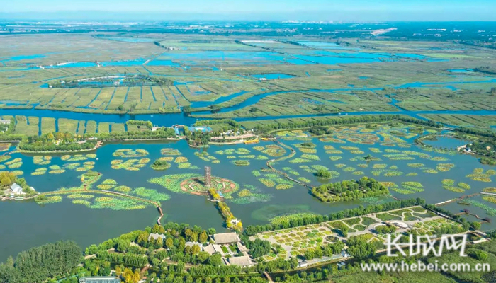 白洋淀生态补水美景。资料图
