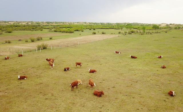 这是内蒙古锡林郭勒盟正蓝旗那日图苏木（乡）高格斯台嘎查（村）周边浑沙达克沙地的治理情况　新华社记者　彭源　摄