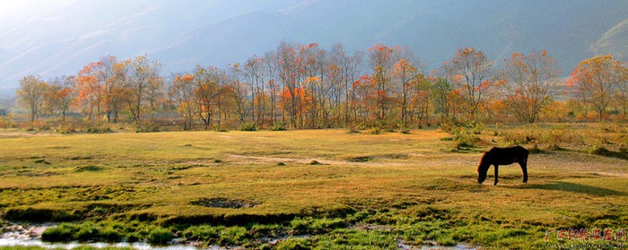 宝坛乡拉郎村野马滩风景（罗城文广体旅局供图）