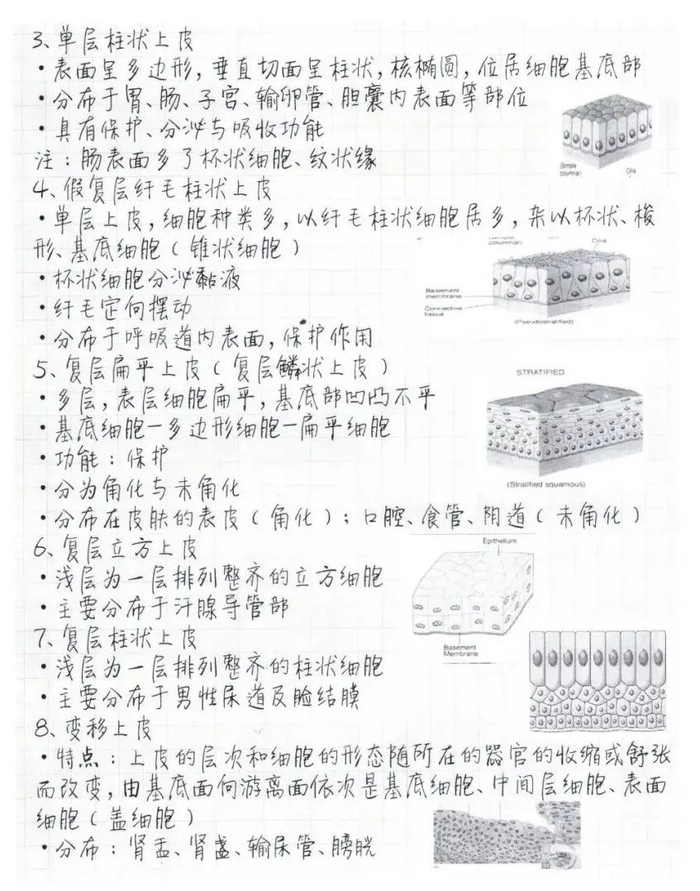 △医学院 胡奚榕