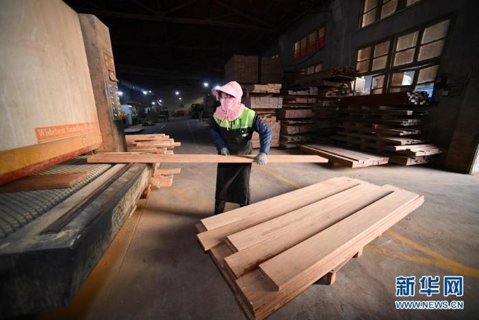 福建三明永安市洪田镇一家毛竹加工企业车间内，工人在生产竹板材（11月26日摄）　新华社记者　姜克红　摄