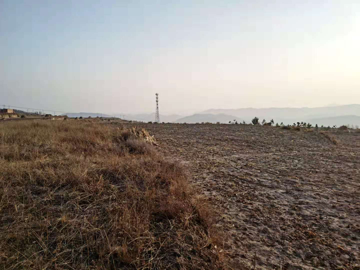冬季的黄土高原植被稀少，颇显苍凉。 《等深线》记者 倪兆中 摄
