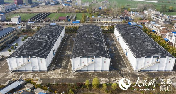 灵璧县王桥粮库。张俊 摄