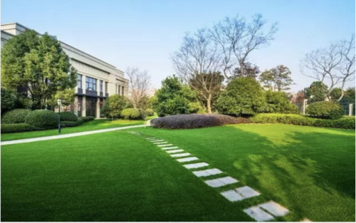 （新力项目实景图）