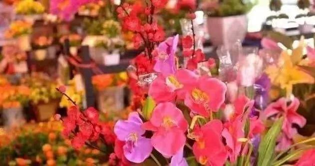 广东花市年年有，今年大不同！水上花城、AI嘉年华……等你来！