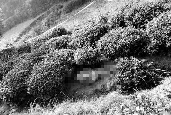 去年在安徽金寨发生的“毒杀儿子案”! 犯罪嫌疑人最终判决了