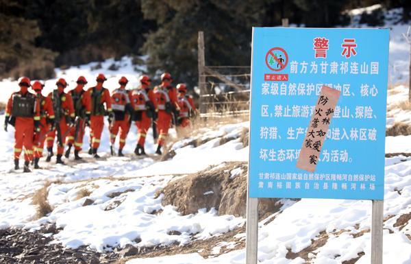 新春走基层｜祁连山深处的生态守护者：春节巡护多了一倍