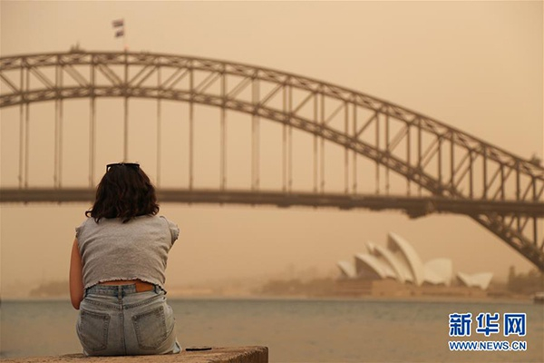 2019年11月12日，烟尘笼罩在澳大利亚悉尼上空。&nbsp; 新华社记者 白雪飞 摄