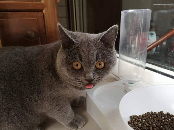  小于的十六。本文图片&nbsp;受访者提供