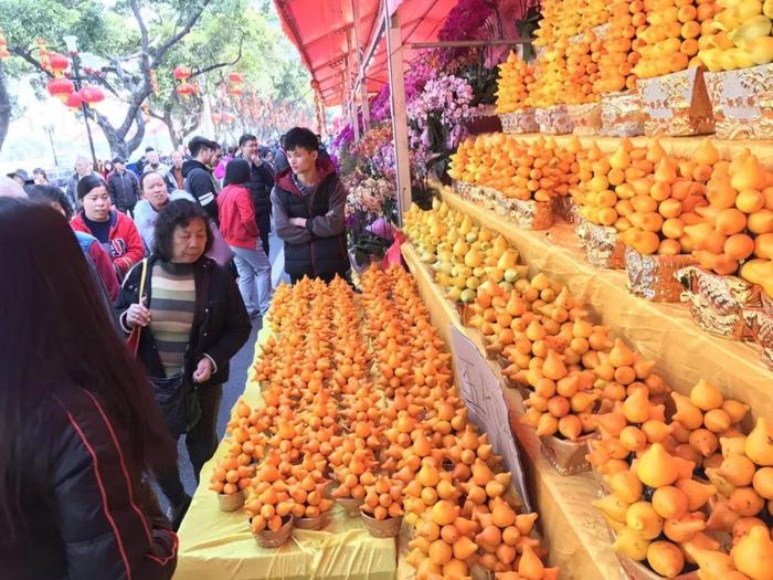 广东花市年年有，今年大不同！水上花城、AI嘉年华……等你来！