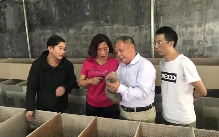 广西壮族自治区畜牧研究所高级畜牧师刘克俊（右二）。受访者供图