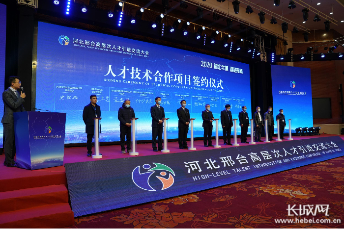 高端人才技术项目合作签约仪式。 长城网记者 齐彦红 摄