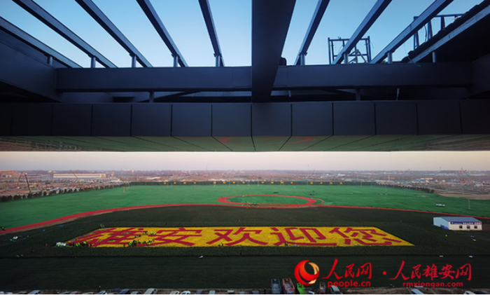 雄安站东侧广场景色。杨成浩/摄