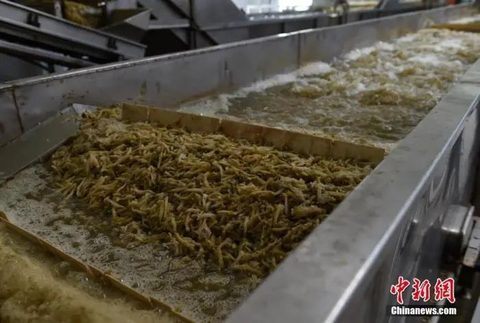 资料图：切好的菜丝正在机器里进行脱盐处理。周毅 摄