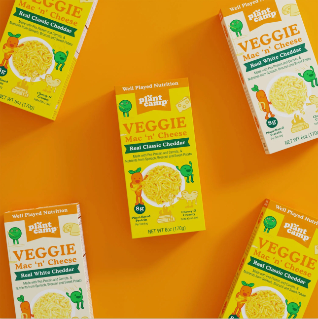 图源：Plant Camp官网