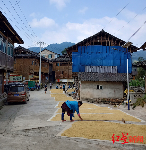 ↑高德飞所在的村落图据红星新闻