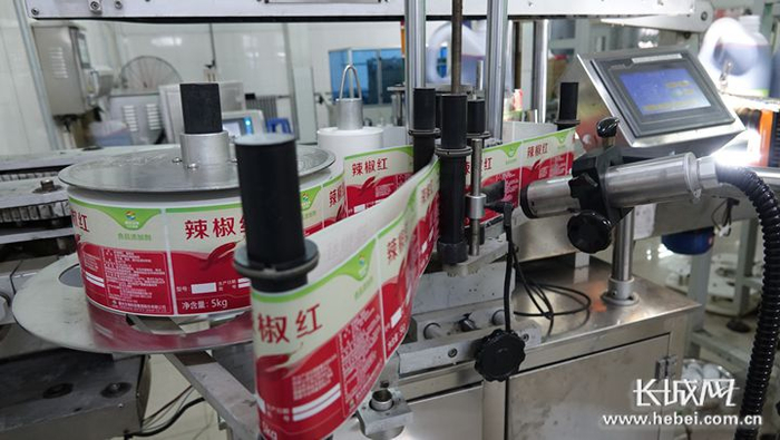 晨光生物公司天然辣椒红色素生产流水线。长城网记者 吴新光 摄
