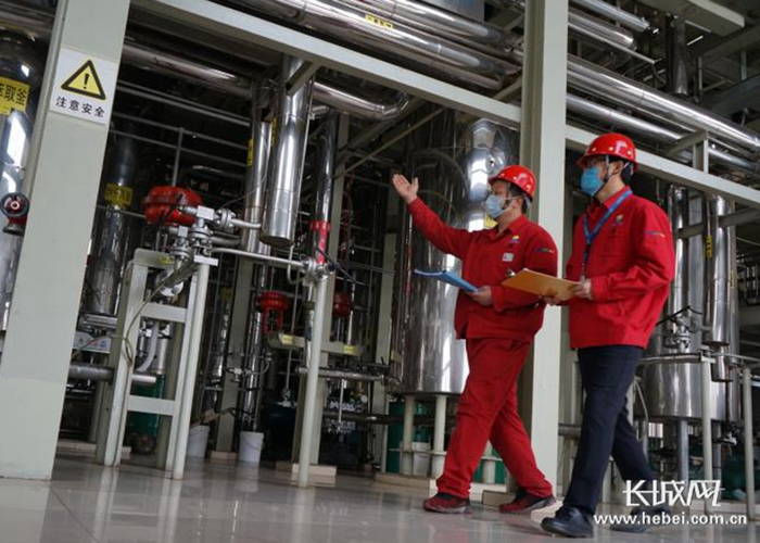 晨光生物公司提取物生产线。李卫国 摄