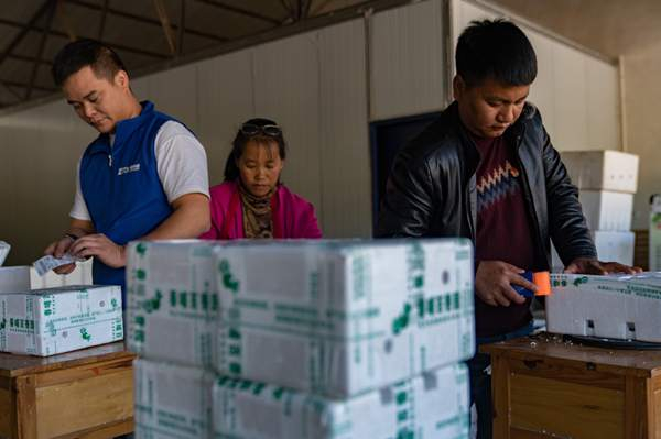 ▲李能龙（右）正在和工人们一起打包快递。 （穆功 摄）