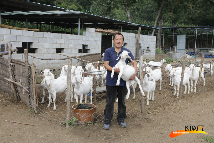 村民通过发展养殖业脱贫致富。