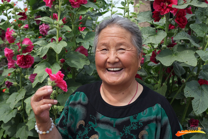 日子越来越好，杨大妈脸上流露出幸福的笑容。