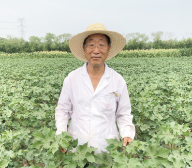 郭三堆在田里做试验。资料照片