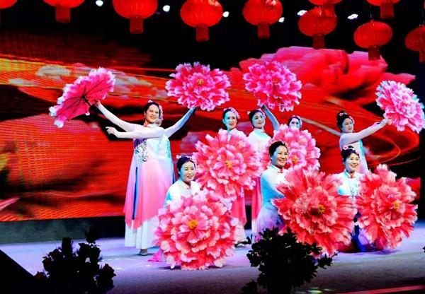 兴化戴南镇跨区办“春晚”吸引观众7万多