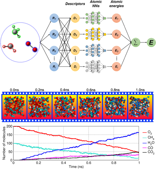 ▲ 本文中的人工神经网络框架以及主要物种随着模拟时间的演变